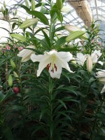 [5169 Villa Blanca No02.JPG]